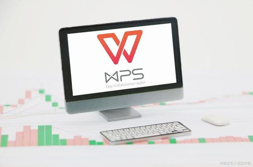 WPS Office二级网络与信息安全软件开发考试内容解析
