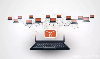 共同维护网络安全，从我做起——网络与信息安全软件开发的责任与行动